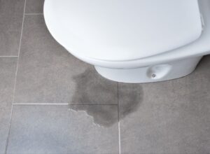 Toilet base leaking water onto gray tiled floor, puddle forming in front.